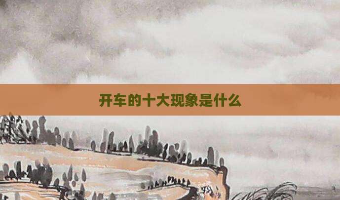 开车的十大现象是什么