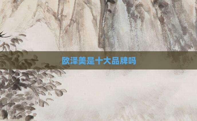欧泽美是十大品牌吗