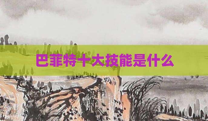 巴菲特十大技能是什么