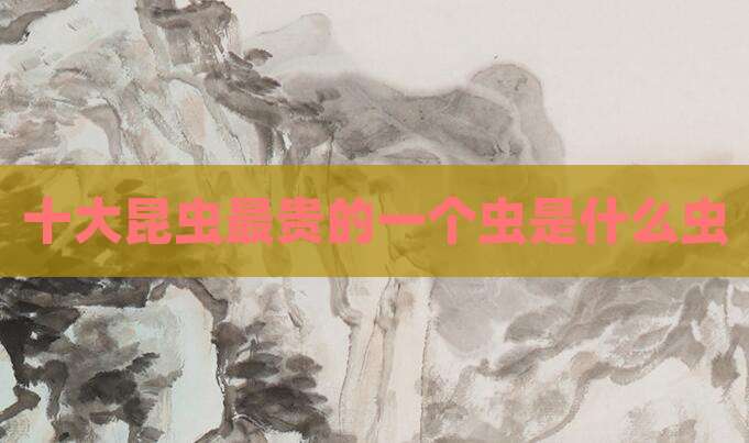 十大昆虫最贵的一个虫是什么虫