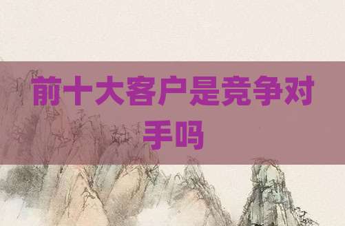 前十大客户是竞争对手吗