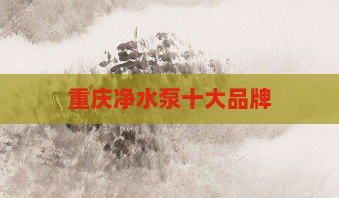 重庆净水泵十大品牌