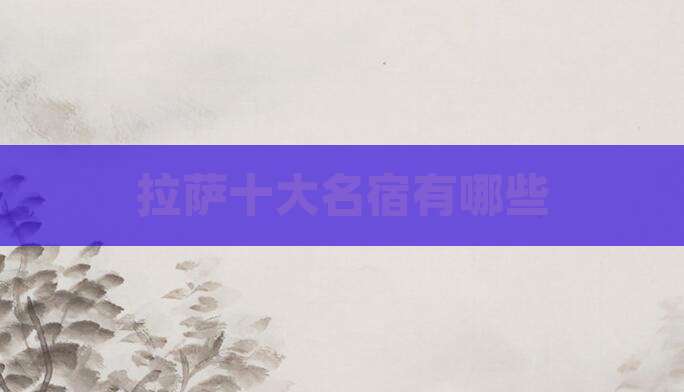 拉萨十大名宿有哪些
