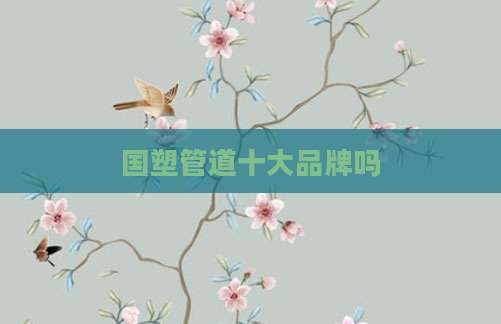 国塑管道十大品牌吗