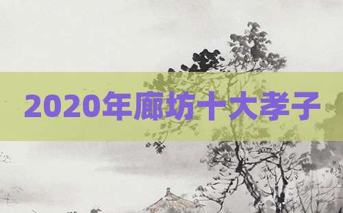 2020年廊坊十大孝子