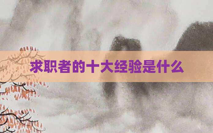 求职者的十大经验是什么