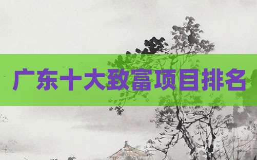 广东十大致富项目排名
