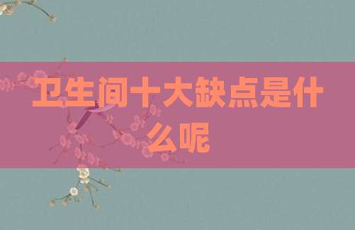 卫生间十大缺点是什么呢