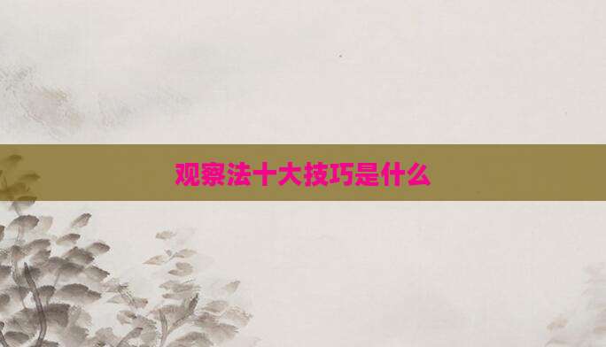 观察法十大技巧是什么