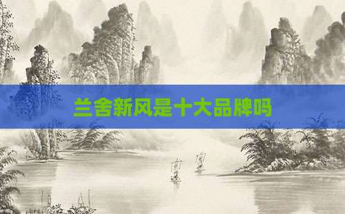 兰舍新风是十大品牌吗