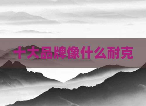十大品牌像什么耐克