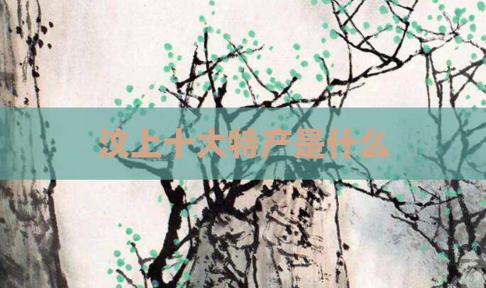 汶上十大特产是什么