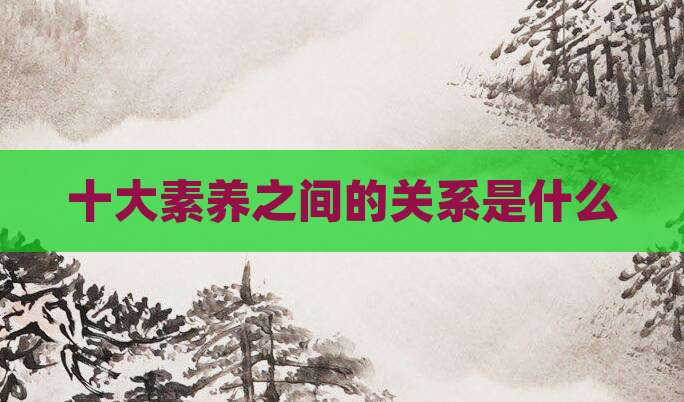 十大素养之间的关系是什么