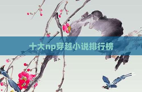 十大np穿越小说排行榜
