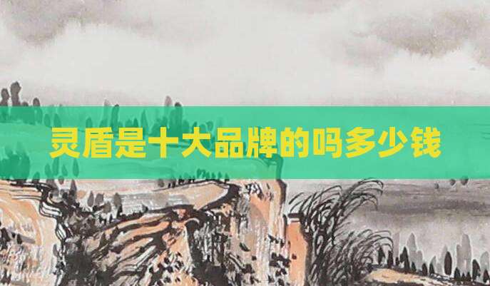 灵盾是十大品牌的吗多少钱