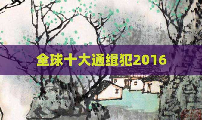 全球十大通缉犯2016