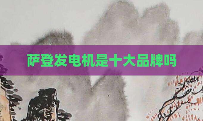 萨登发电机是十大品牌吗