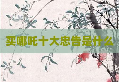 买哪吒十大忠告是什么
