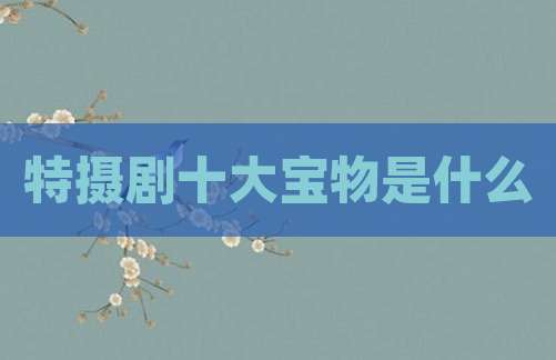 特摄剧十大宝物是什么
