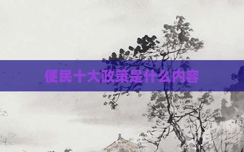 便民十大政策是什么内容
