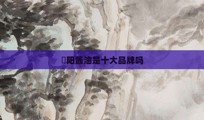 淯阳酱油是十大品牌吗