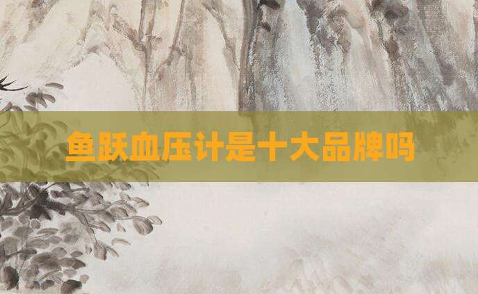 鱼跃血压计是十大品牌吗