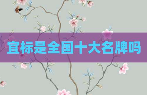 宜标是全国十大名牌吗