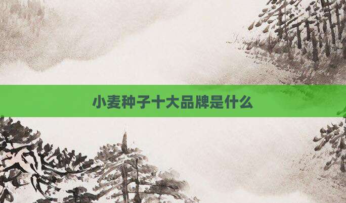 小麦种子十大品牌是什么