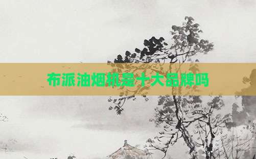布派油烟机是十大品牌吗