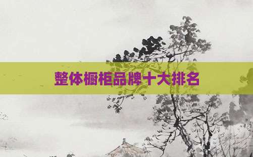 整体橱柜品牌十大排名
