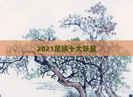 2021足球十大妖星