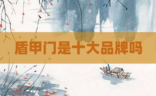 盾甲门是十大品牌吗