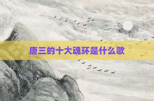 唐三的十大魂环是什么歌