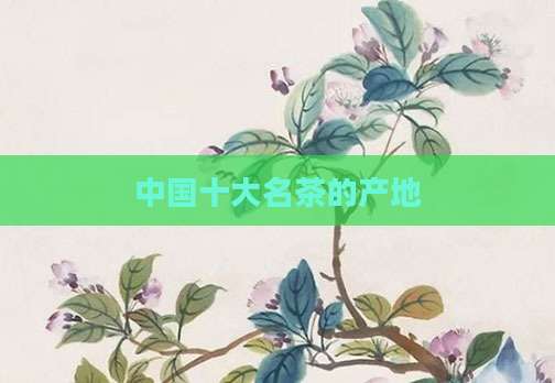 中国十大名茶的产地