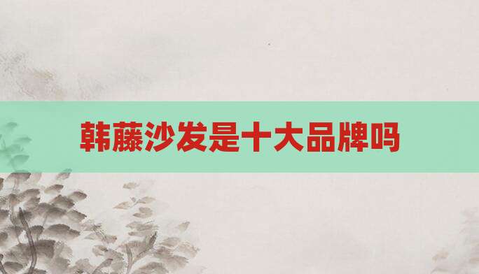 韩藤沙发是十大品牌吗