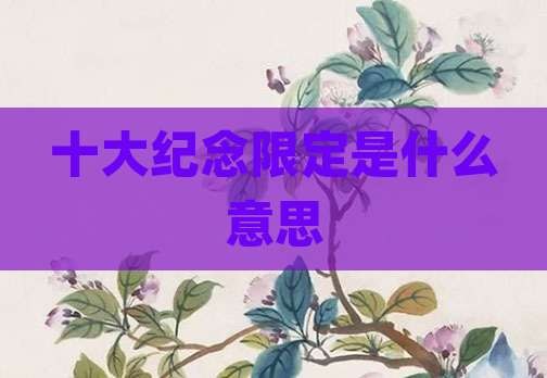 十大纪念限定是什么意思