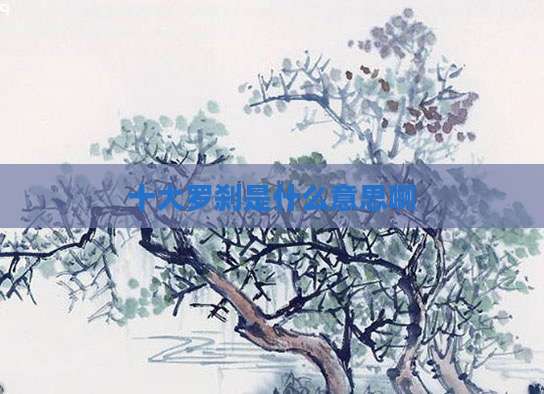 十大罗刹是什么意思啊