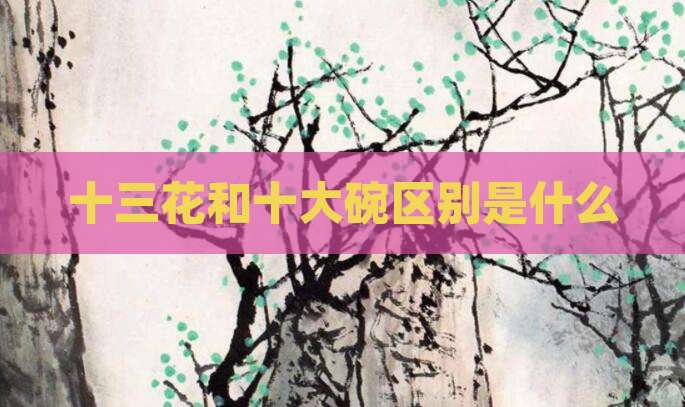十三花和十大碗区别是什么