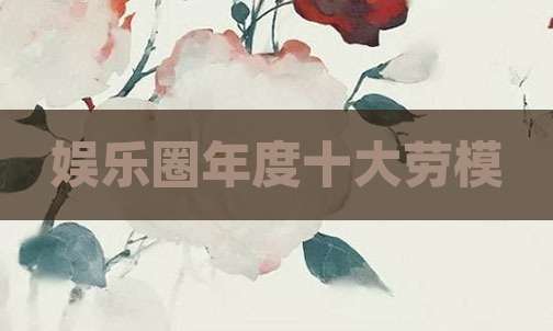 娱乐圈年度十大劳模
