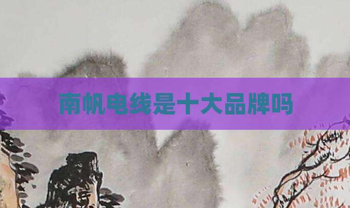 南帆电线是十大品牌吗