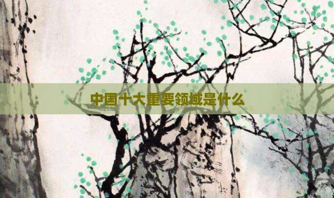 中国十大重要领域是什么