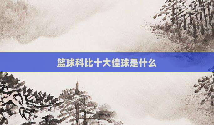 篮球科比十大佳球是什么