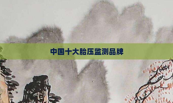 中国十大胎压监测品牌