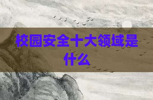 校园安全十大领域是什么