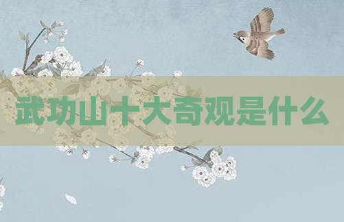 武功山十大奇观是什么