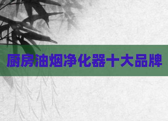 厨房油烟净化器十大品牌