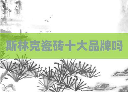 斯林克瓷砖十大品牌吗