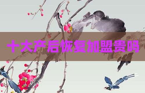 十大产后恢复加盟贵吗
