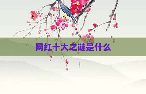 网红十大之谜是什么