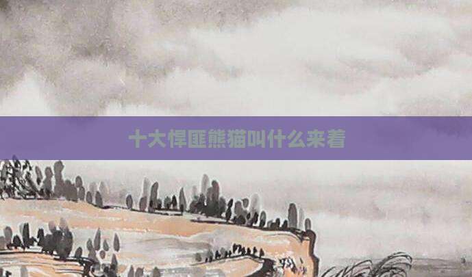 十大悍匪熊猫叫什么来着